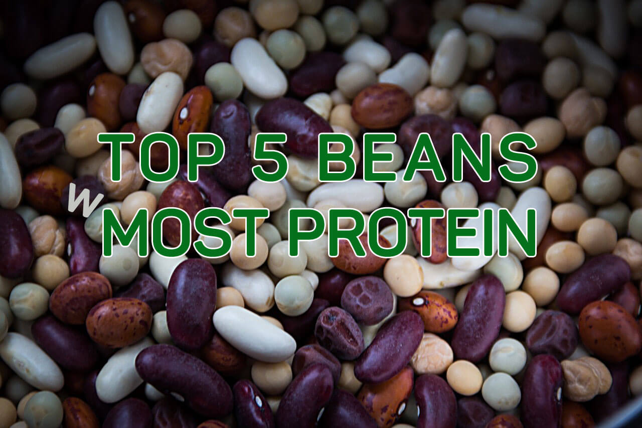 Top 5 Most Protein Rich Beans | All Vegan Foods