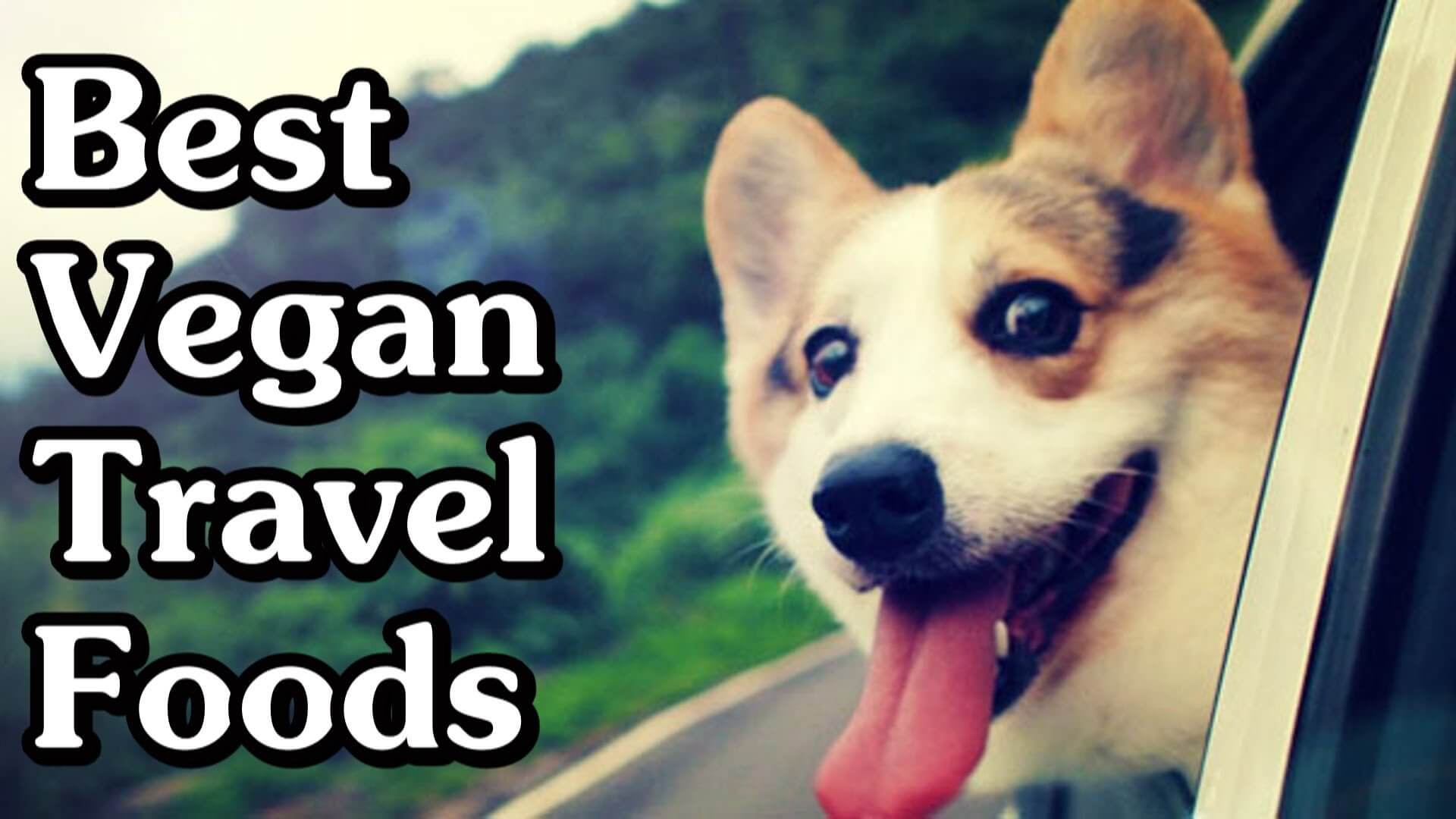 Coolest Vegan Traveling Tips