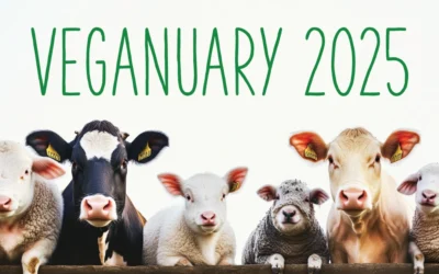 The Veganuary Movement: More Reasons Than Ever to Join This Year