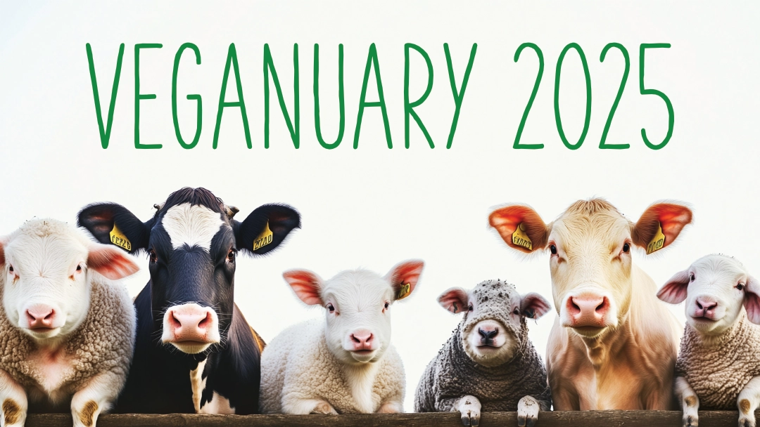 The Veganuary Movement: More Reasons Than Ever to Join This Year